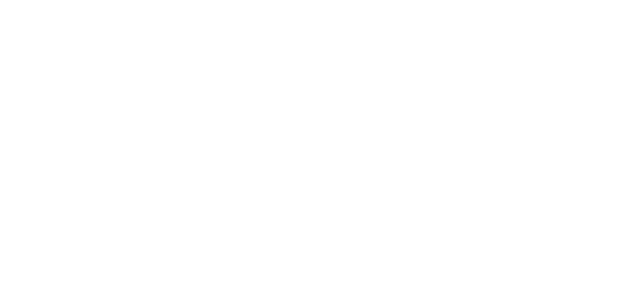 TSN Logo